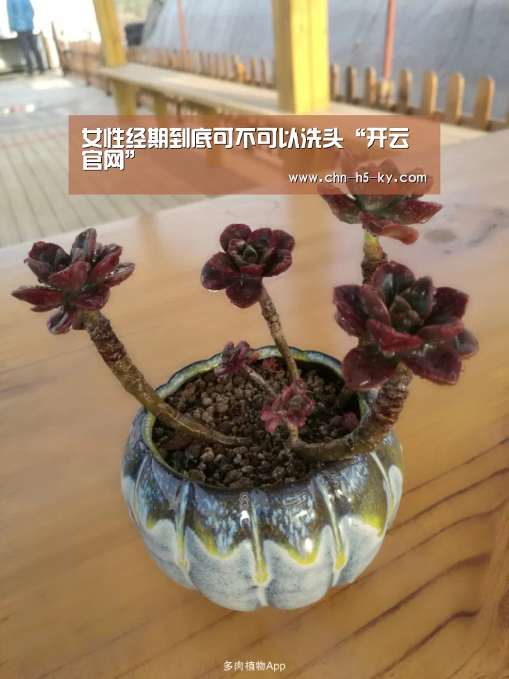 开云体育